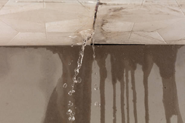 Professional Burst Pipe Cleanup technician working in Sneedville, TN
